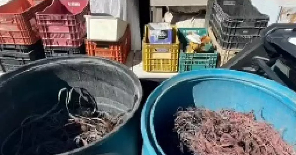 Polícia Civil fecha comércios por receptação de fios furtados em Caraguatatuba
