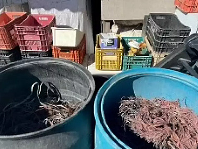 Polícia Civil fecha comércios por receptação de fios furtados em Caraguatatuba