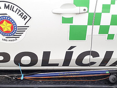 Polícia Ambiental salva filhotes de raias que estavam presos em rede de pesca irregular na  Praia do Paúba