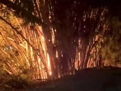 Bambuzal pega fogo e coloca casas e moradores em risco em Ilhabela