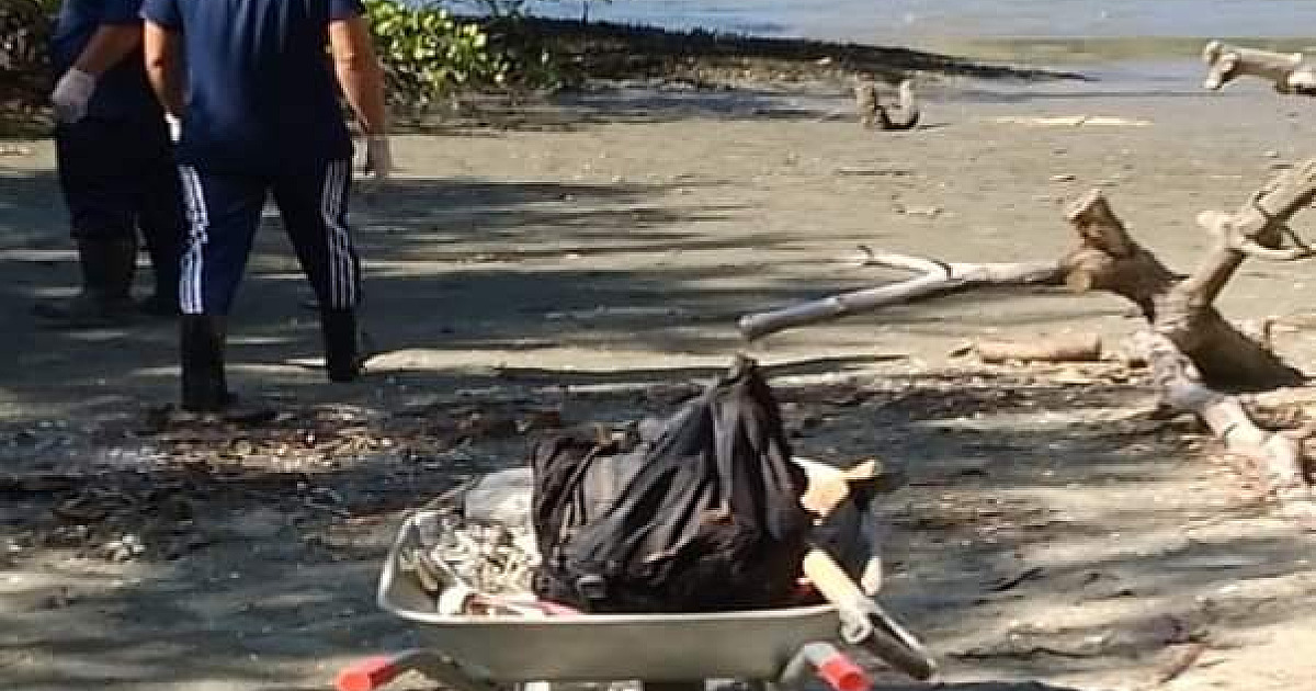 São Sebastião retira mais 420 quilos do Mangue do Araçá