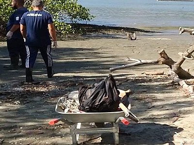 São Sebastião retira mais 420 quilos do Mangue do Araçá