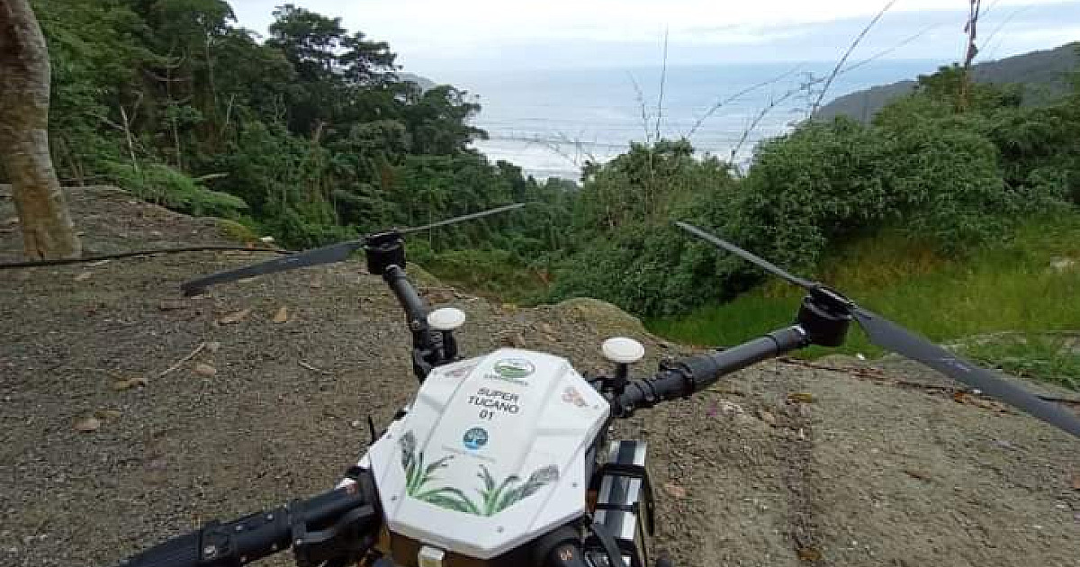 Fundação Florestal usa drone para lançar "chuva de sementes" em núcleo do Parque Estadual de Ubatuba