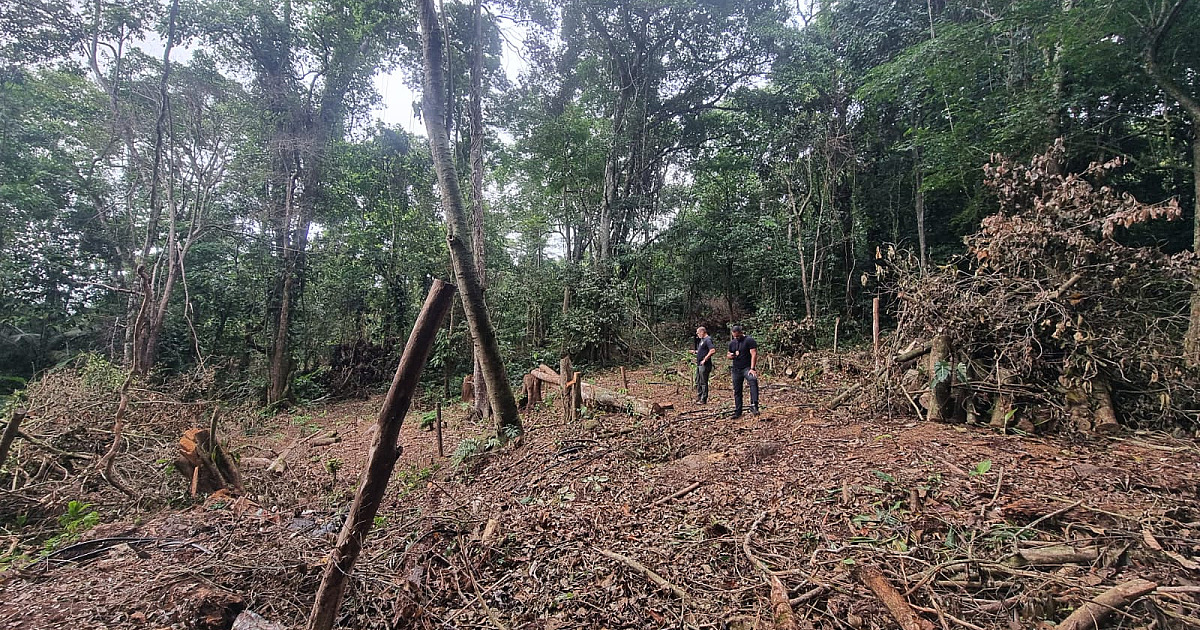 Prefeitura de São Sebastião intensifica monitoramento em área irregular no Sertão de Maresias, na Costa Sul