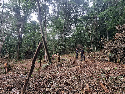Prefeitura de São Sebastião intensifica monitoramento em área irregular no Sertão de Maresias, na Costa Sul