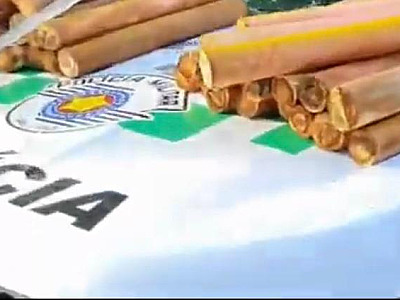 Polícia Ambiental impede extração de palmito irregular no PESM em Ubatuba