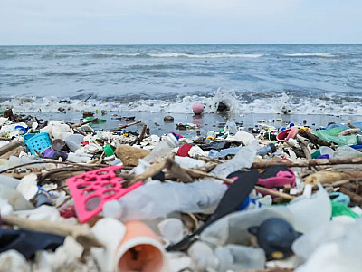 Semana do Meio Ambiente mobiliza Litoral Norte contra a poluição plástica