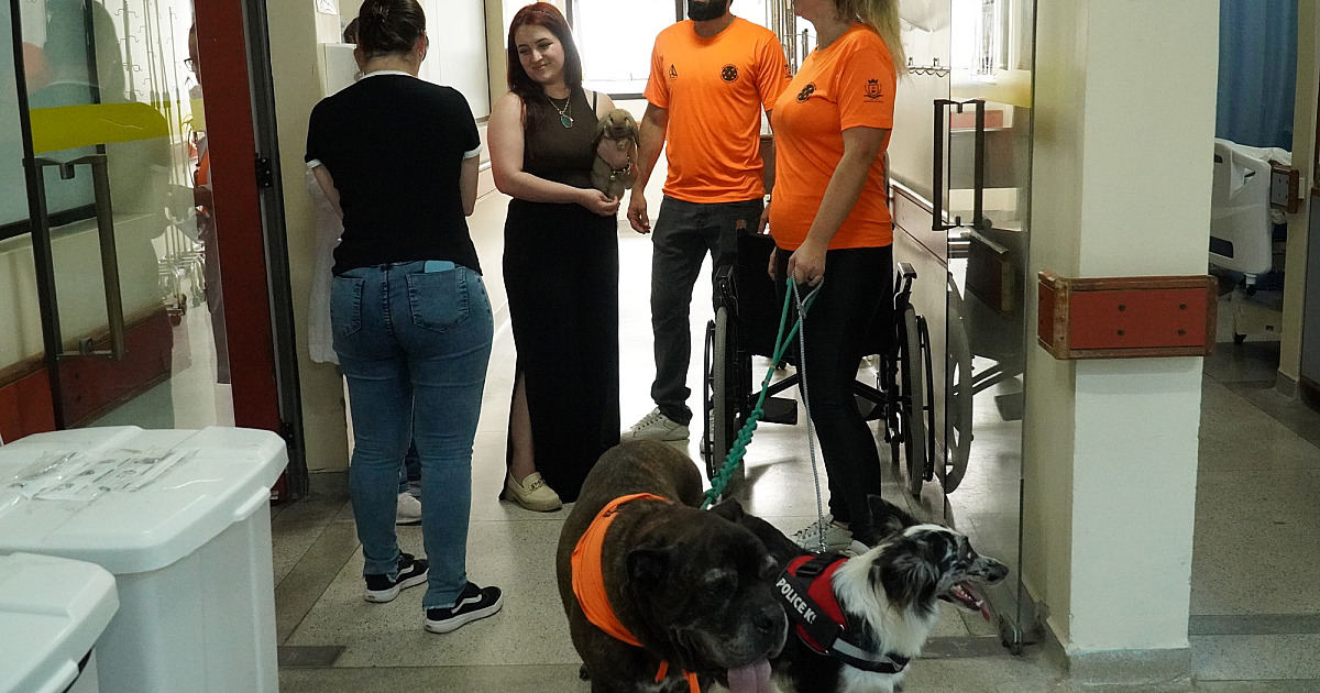 Terapeutas de Quatro Patas encantam pacientes do Hospital Mário Covas Jr. em Ilhabela