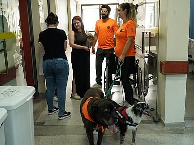 Terapeutas de Quatro Patas encantam pacientes do Hospital Mário Covas Jr. em Ilhabela