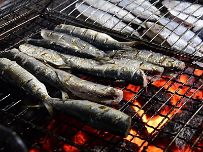 Festival da Sardinha em Ilhabela é adiado por previsão de mau tempo