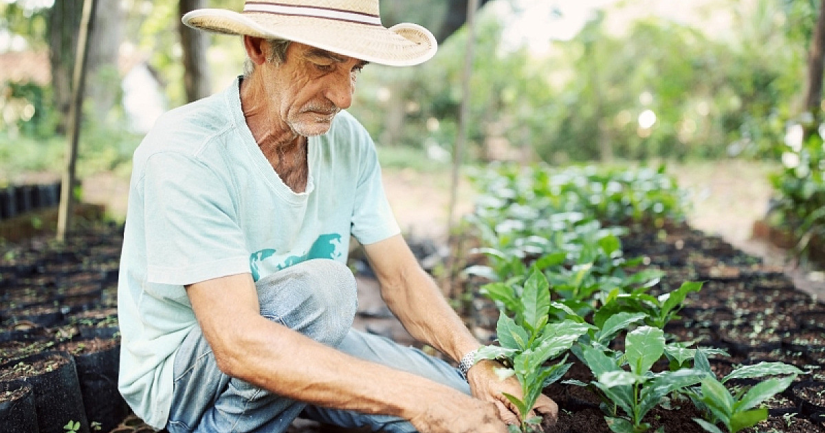 Ilhabela recebe evento inédito sobre exportação sustentável de café