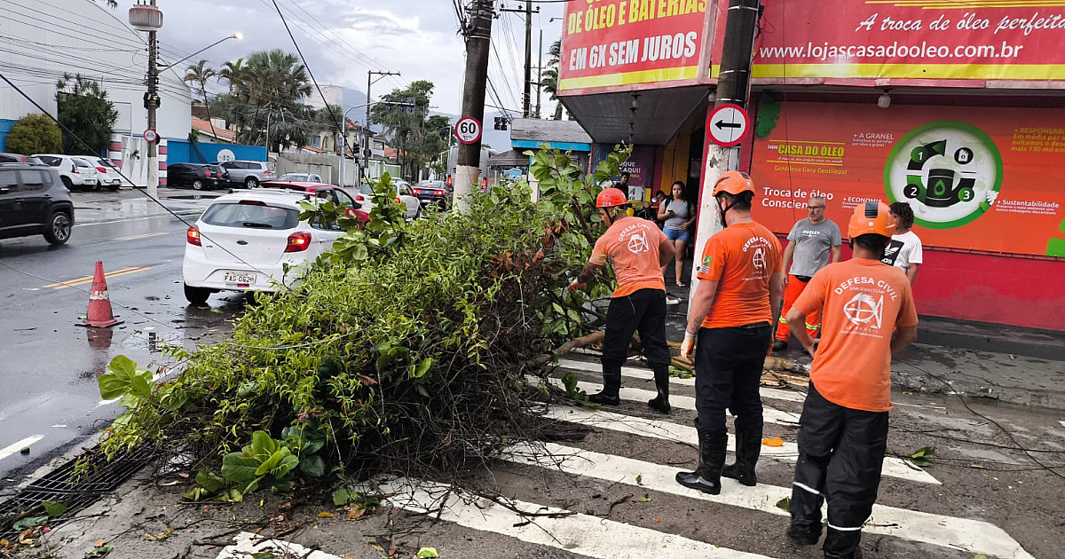 Ventos de 70 km/h provocam quedas de árvores e energia em São Sebastião