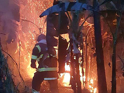 Fogo atinge área próxima a residências em Ilhabela