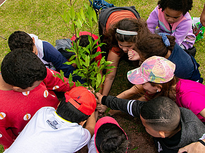 Alunos da rede municipal participam de plantio de mudas no Dia da Árvore