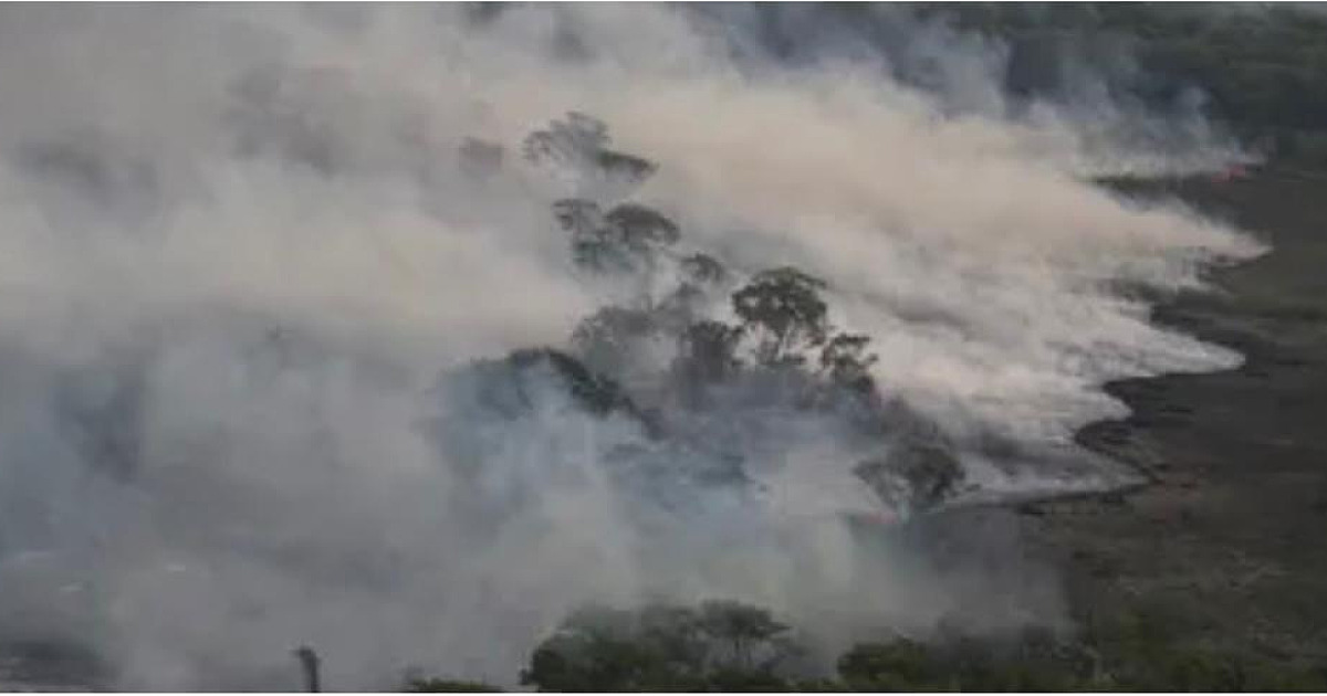 INPE alerta para fumaça de queimadas no Pantanal estão se espalhando pelo país 