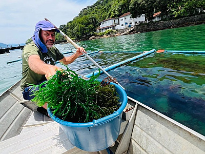 Instituto de Pesca lança campanha para preservação das áreas de maricultura em Ubatuba