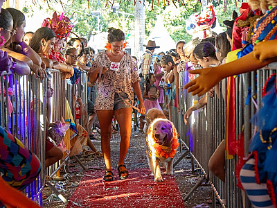 Carnapet em São Sebastião promete muita diversão aos foliões e seus pets no sábado de Carnaval