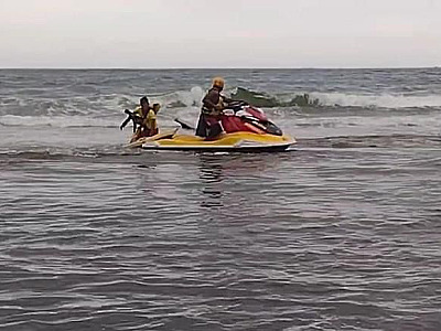 GBMar salva bicho-preguiça que caiu no mar em Ubatuba