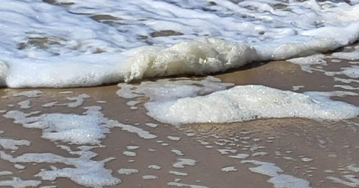 Espuma densa na Martim de Sá não é poluição, dizem os especialistas