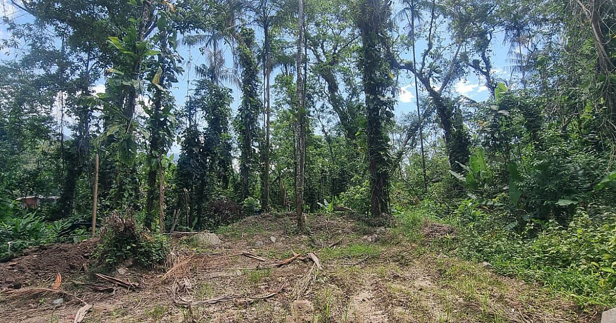 São Sebastião tem ações educativas e vistorias de imóveis durante Semana de Intensificação de Controle ao Aedes aegypti