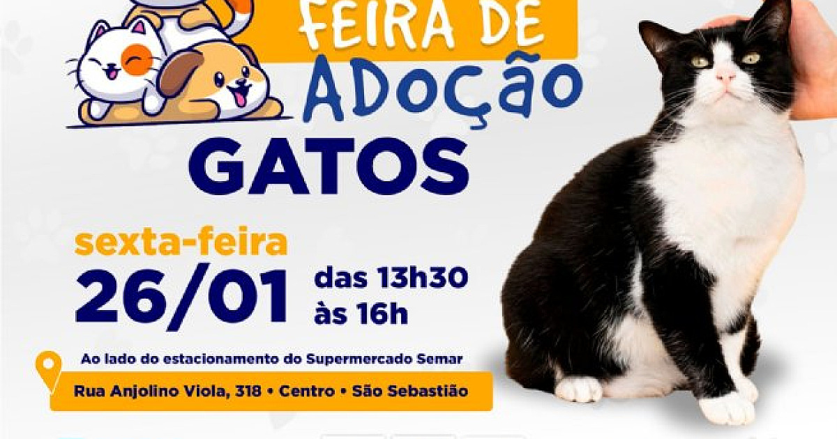 Prefeitura de São Sebastião realiza Feira de Adoção de Gatos nesta sexta-feira