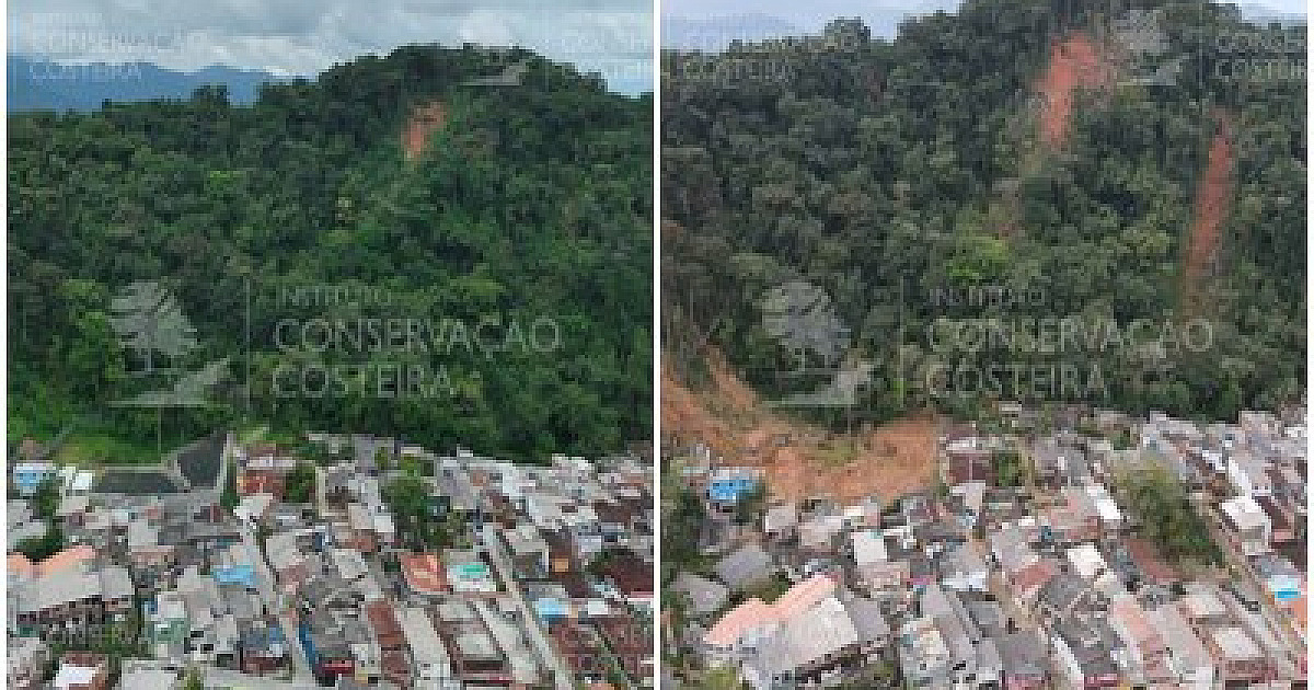 Projeto conclui ações socioambientais em áreas devastadas por temporal em São Sebastião