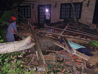 Árvore de grande porte cai sobre casa durante a madrugada em Ilhabela