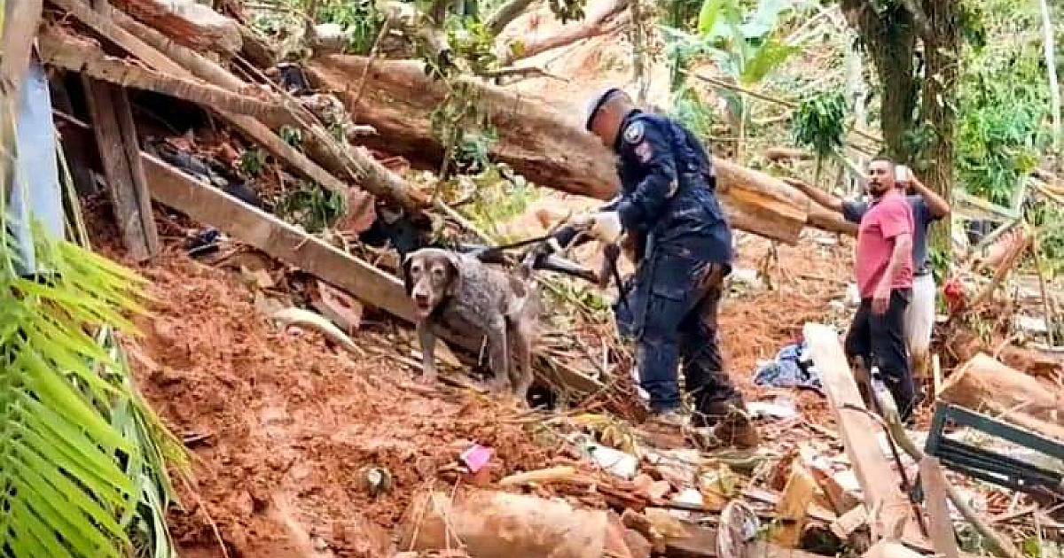 MP determina que município e estado cumpram plano de contingência para as vítimas da tempestade em São Sebastião