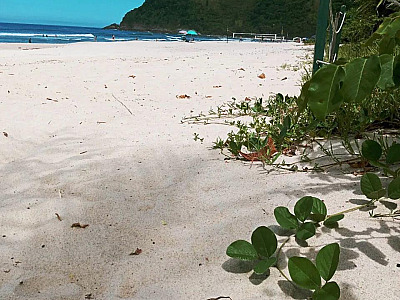 Apenas duas praias estão impróprias para o banho de mar neste fim de semana