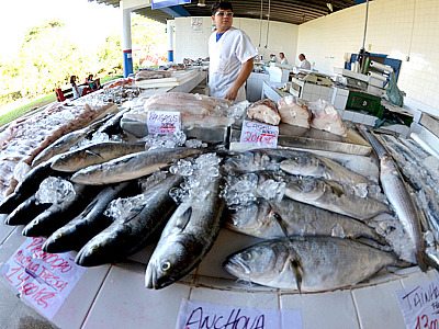 Mercado de Peixes movimenta 20 mil quilos de pescados em dois meses em Ubatuba
