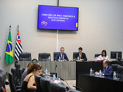 Comissão da Alesp dá aval a proposta de criação de farmácia popular para animais e outros 33 projetos