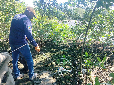 Prefeitura de São Sebastião efetua nova ação de educação ambiental no Mangue do Araçá nesta sexta-feira