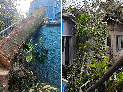Ubatuba decreta Situação de Emergência após ventania causada por ciclone extratropical
