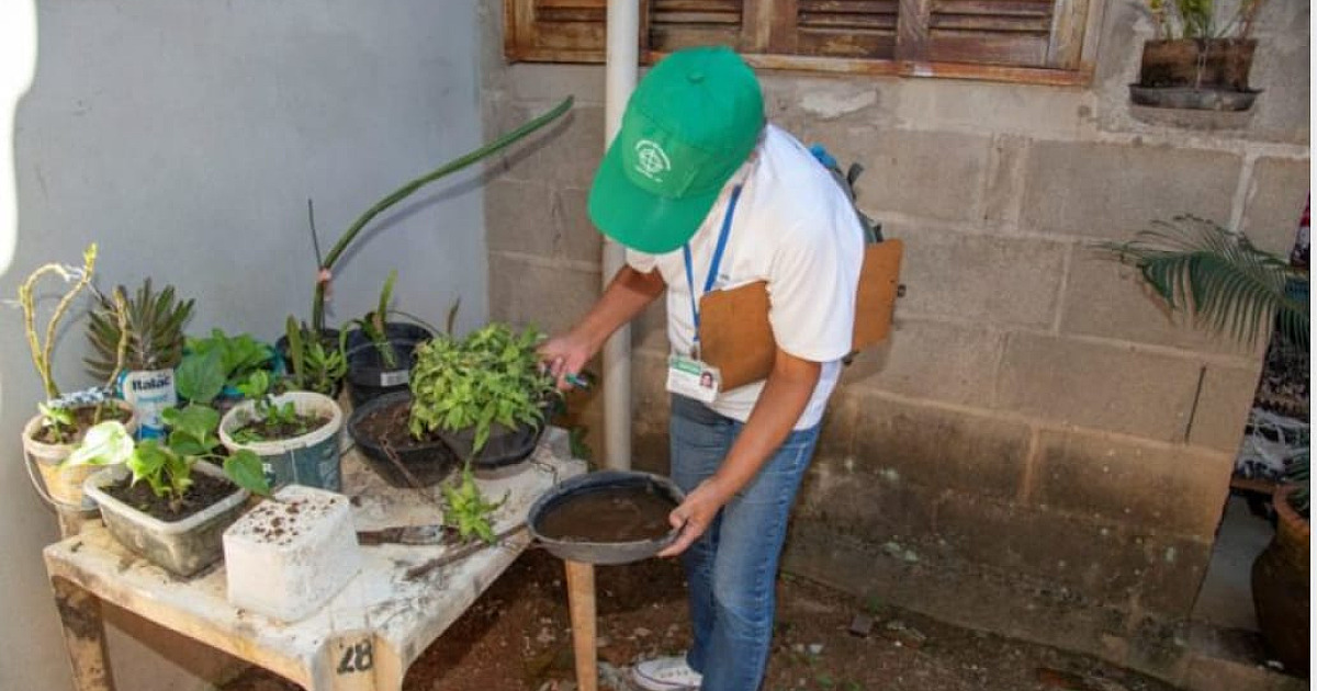 Litoral Norte em alerta contra o Aedes aegypti
