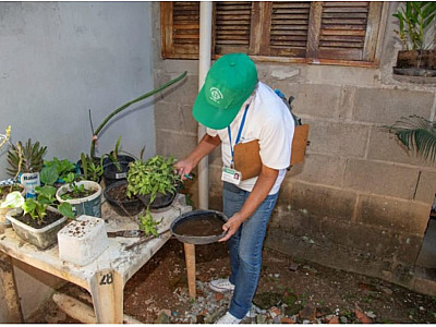 Litoral Norte em alerta contra o Aedes aegypti