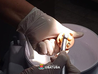 Odontologia avança em capacitação prática sobre endodontia