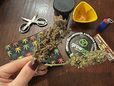 Maconhistas do LN comemoram decisão do STF, mas polícia diz que descriminalização deve ser vista com cautela