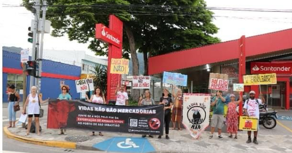 São Sebastião terá protesto neste domingo contra exportação de animais vivos