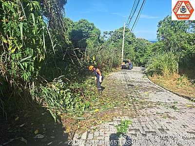 Defesa Civil de Ilhabela registra 8 quedas de árvores após fortes ventos e chuva