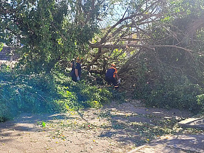 Decreto de emergência reforça ações de recuperação após ventania em Caraguatatuba