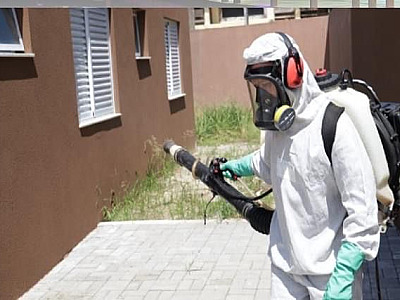 Com mais de 1000 casos de dengue LN se mobiliza para conter criadouros do Aedes aegypti