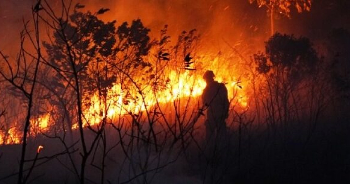 Prefeitura de Caraguatatuba registra 37 casos de queimadas no município e faz alerta contra incêndio criminoso