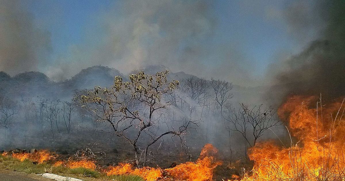 Defesa Civil reforça alerta sobre queimadas e tempo seco em Ubatuba