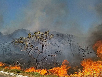 Defesa Civil reforça alerta sobre queimadas e tempo seco em Ubatuba