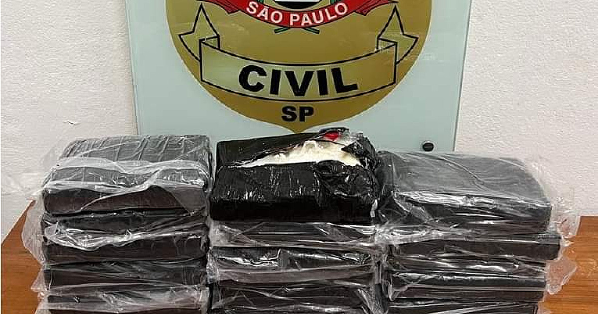 Pacotes de cocaína avaliados em R$ 1,7 milhão, aparecem abandonados em praia de São Sebastião