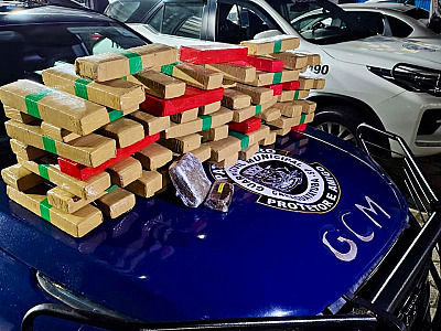 Ação conjunta apreende mais de 60kg de drogas na Tamoios