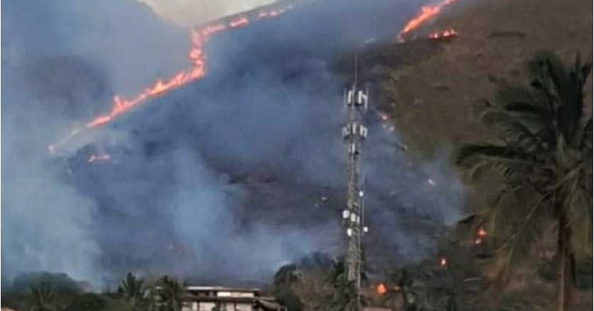 Incêndio destrói Morro do Cantagalo em Ilhabela