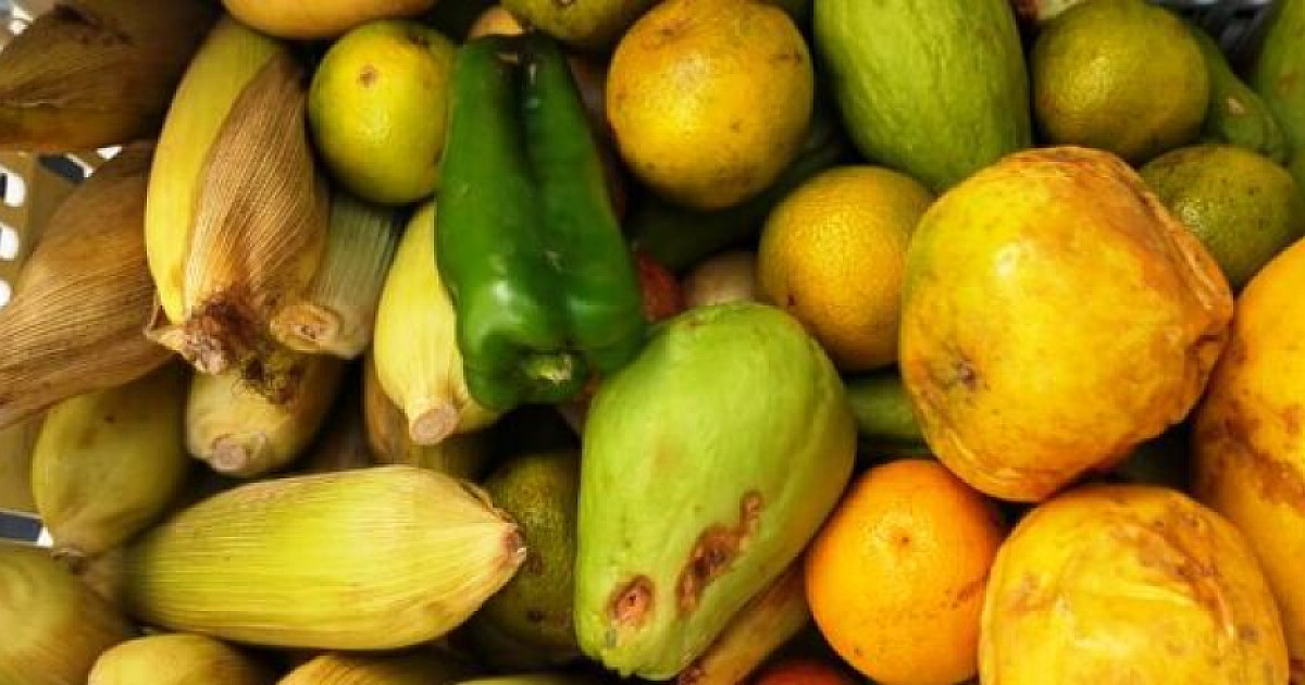 Banco de Alimentos de Caraguatatuba repassa em fevereiro 6,1 toneladas de doações para instituições sociais