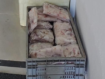 Ambiental impede venda de pescado irregular em Ubatuba e faz doação de peixes para entidades