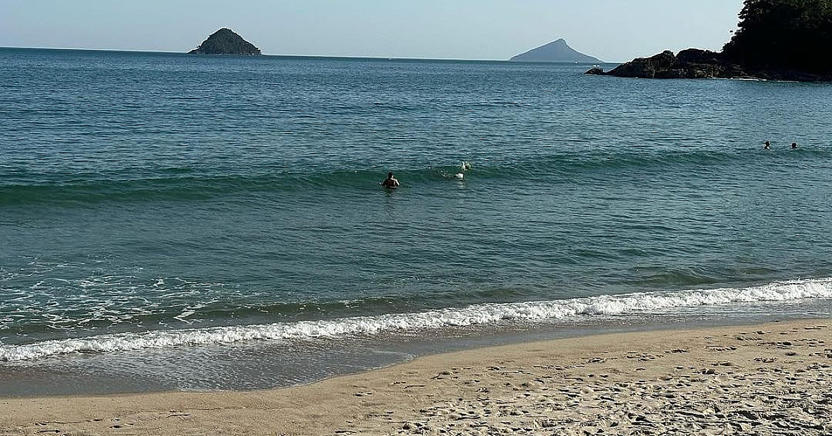 Oito praias estão poluídas no litoral norte neste fim de semana